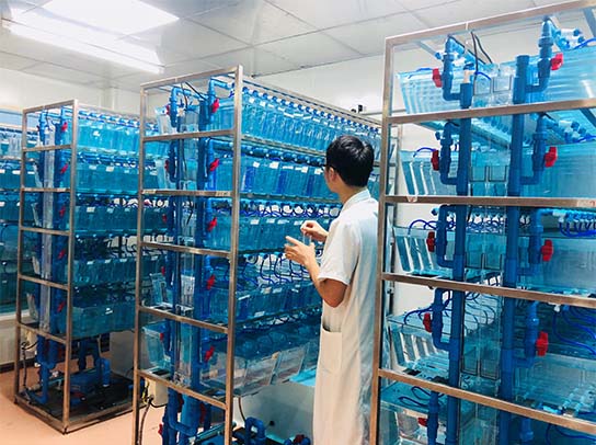 1xBET·Signup(中国区)-官方网站